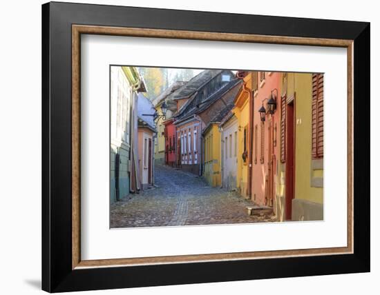 Transylvania, Romania, Mures County, Sighisoara, cobblestone residential streets.-Emily Wilson-Framed Photographic Print