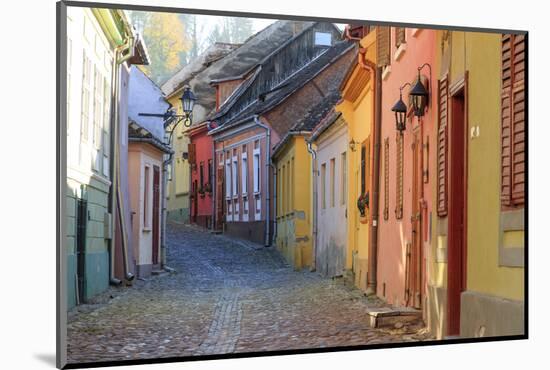 Transylvania, Romania, Mures County, Sighisoara, cobblestone residential streets.-Emily Wilson-Mounted Photographic Print