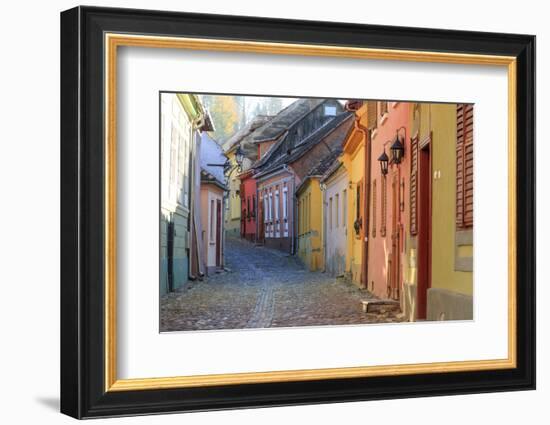 Transylvania, Romania, Mures County, Sighisoara, cobblestone residential streets.-Emily Wilson-Framed Photographic Print