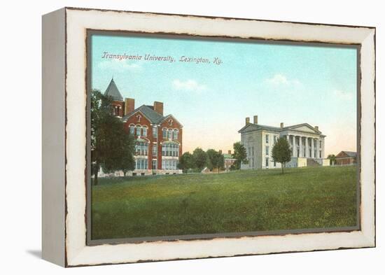 Transylvania University, Lexington, Kentucky-null-Framed Stretched Canvas