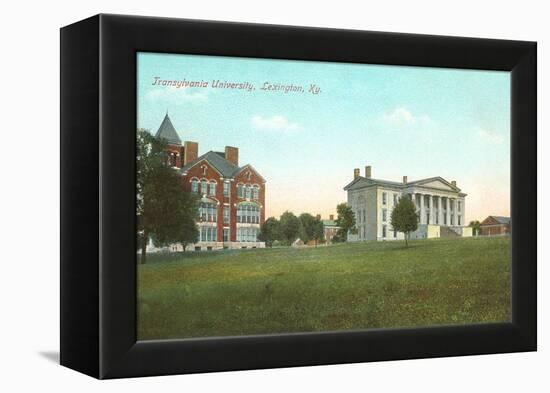 Transylvania University, Lexington, Kentucky-null-Framed Stretched Canvas