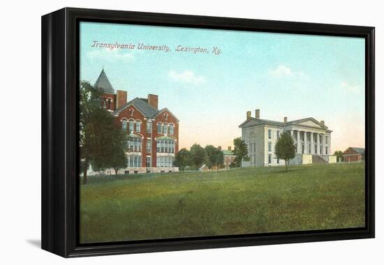 Transylvania University, Lexington, Kentucky-null-Framed Stretched Canvas