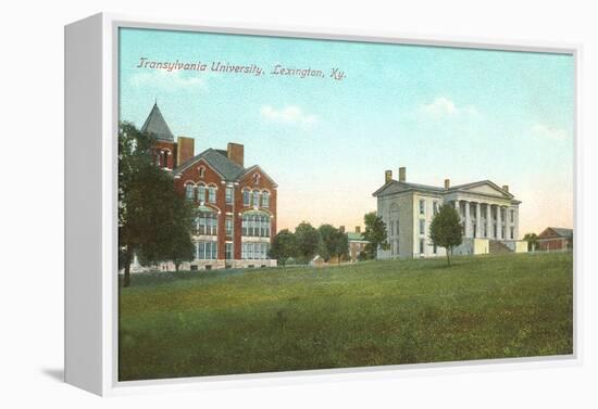 Transylvania University, Lexington, Kentucky-null-Framed Stretched Canvas