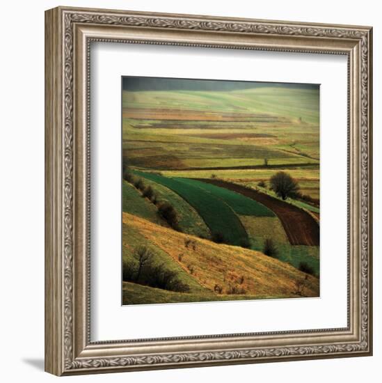 Transylvania-Crina Prida-Framed Art Print