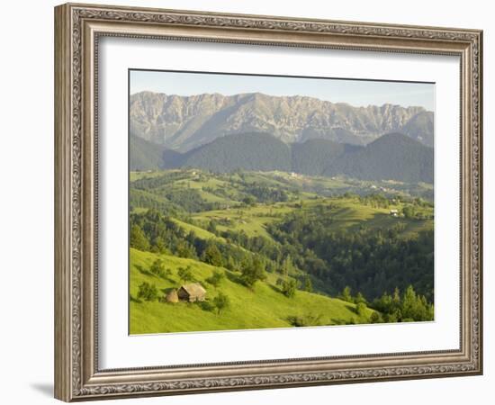 Transylvanian Alps, Near Fundata, Transylvania, Romania, Europe-Gary Cook-Framed Photographic Print