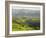 Transylvanian Alps, Near Fundata, Transylvania, Romania, Europe-Gary Cook-Framed Photographic Print