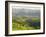 Transylvanian Alps, Near Fundata, Transylvania, Romania, Europe-Gary Cook-Framed Photographic Print