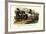 Transylvanian and Hungarian Horses, 1824-Karl Joseph Brodtmann-Framed Giclee Print