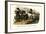 Transylvanian and Hungarian Horses, 1824-Karl Joseph Brodtmann-Framed Giclee Print
