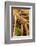 Trap-jaw ant portrait, Wayqecha, Peru-Emanuele Biggi-Framed Photographic Print