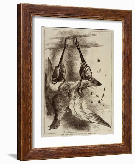 Trapped Bird-Harrison Weir-Framed Art Print