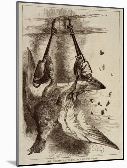 Trapped Bird-Harrison Weir-Mounted Art Print