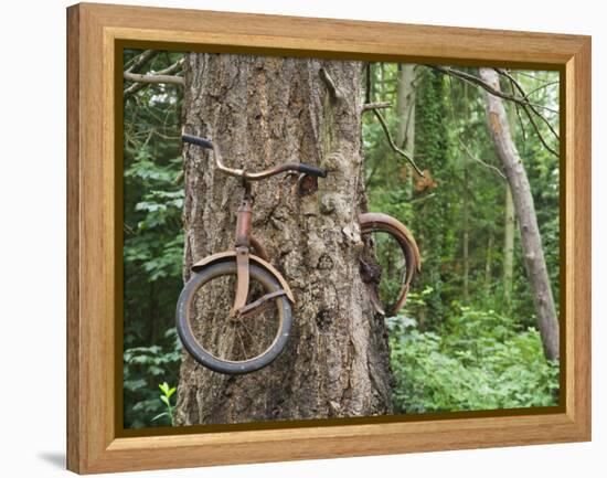Trapped in Time-Ethan Welty-Framed Premier Image Canvas