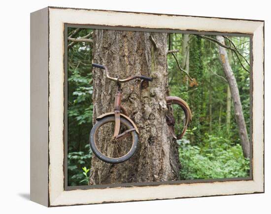 Trapped in Time-Ethan Welty-Framed Premier Image Canvas