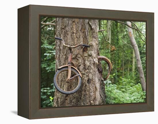 Trapped in Time-Ethan Welty-Framed Premier Image Canvas