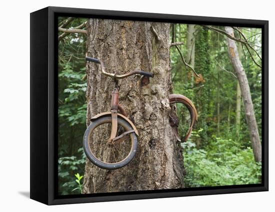 Trapped in Time-Ethan Welty-Framed Premier Image Canvas