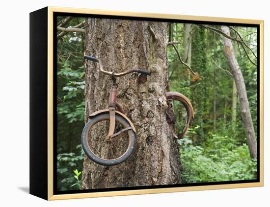 Trapped in Time-Ethan Welty-Framed Premier Image Canvas