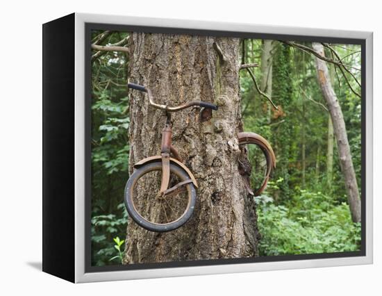 Trapped in Time-Ethan Welty-Framed Premier Image Canvas