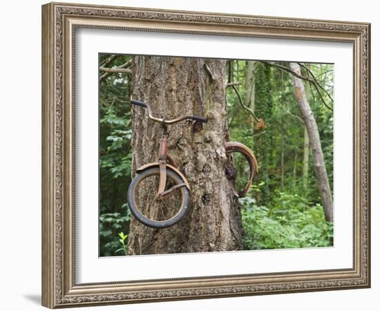 Trapped in Time-Ethan Welty-Framed Photographic Print