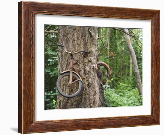 Trapped in Time-Ethan Welty-Framed Photographic Print