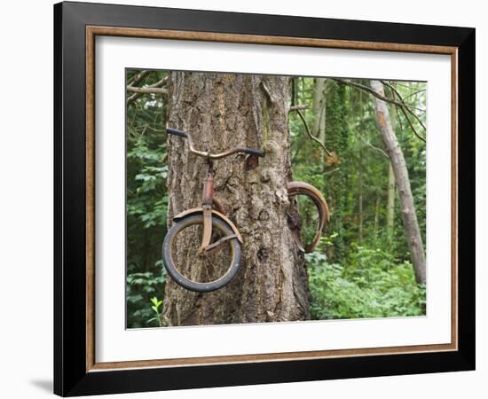 Trapped in Time-Ethan Welty-Framed Photographic Print