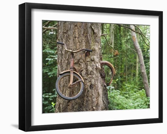 Trapped in Time-Ethan Welty-Framed Photographic Print