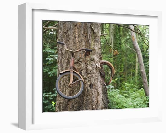 Trapped in Time-Ethan Welty-Framed Photographic Print