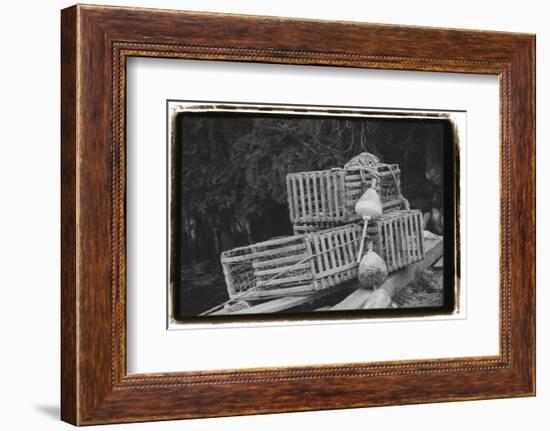 Trapped-Laura Denardo-Framed Photographic Print