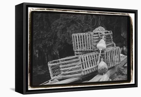 Trapped-Laura Denardo-Framed Premier Image Canvas