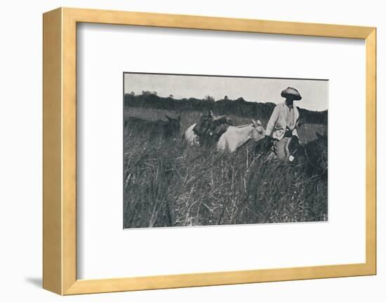 'Travel on the Pampas', 1916-Unknown-Framed Photographic Print