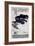 Travel Sports 033-Vintage Lavoie-Framed Giclee Print