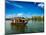 Travel Tourism Kerala Background - Houseboat on Kerala Backwaters. Kerala, India-f9photos-Mounted Photographic Print