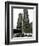 Travel Trip Chicago Architecture-Nam Y. Huh-Framed Photographic Print