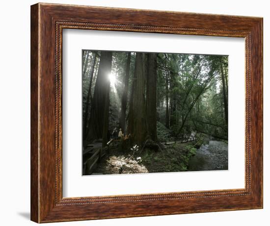 Travel Trip Muir Woods 100th-Eric Risberg-Framed Photographic Print