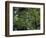 Travel Trip Muir Woods 100th-Eric Risberg-Framed Photographic Print