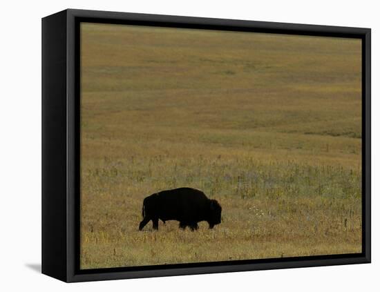 Travel Trip Tallgrass Prairie-Charlie Riedel-Framed Premier Image Canvas