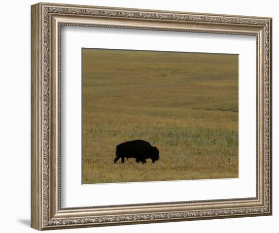 Travel Trip Tallgrass Prairie-Charlie Riedel-Framed Photographic Print