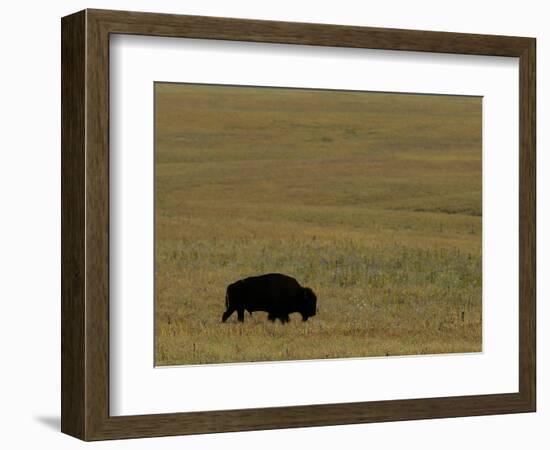 Travel Trip Tallgrass Prairie-Charlie Riedel-Framed Photographic Print