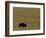 Travel Trip Tallgrass Prairie-Charlie Riedel-Framed Photographic Print