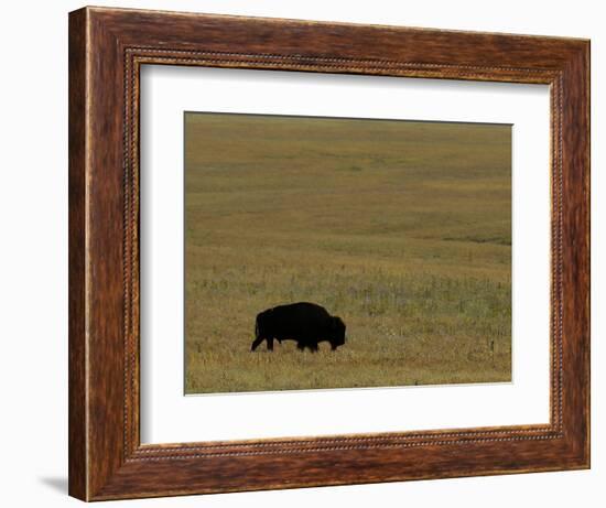 Travel Trip Tallgrass Prairie-Charlie Riedel-Framed Photographic Print