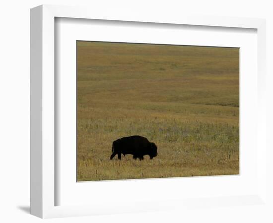 Travel Trip Tallgrass Prairie-Charlie Riedel-Framed Photographic Print