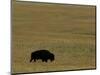 Travel Trip Tallgrass Prairie-Charlie Riedel-Mounted Photographic Print