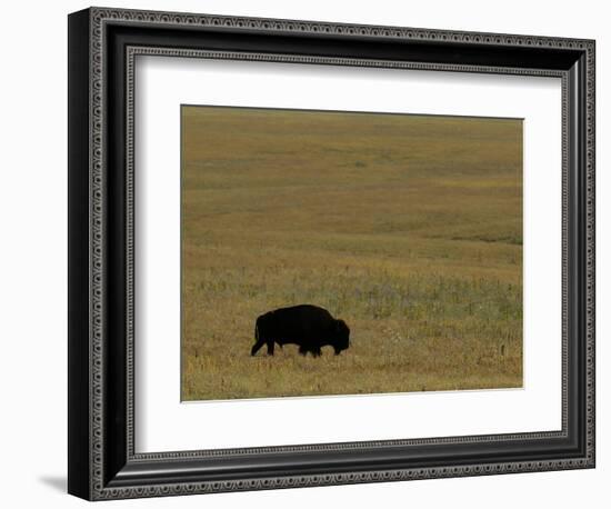 Travel Trip Tallgrass Prairie-Charlie Riedel-Framed Photographic Print
