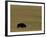 Travel Trip Tallgrass Prairie-Charlie Riedel-Framed Photographic Print