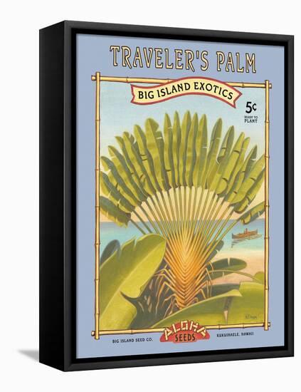 Traveler's Palm-Kerne Erickson-Framed Stretched Canvas