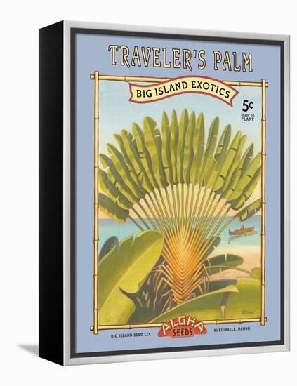 Traveler's Palm-Kerne Erickson-Framed Stretched Canvas