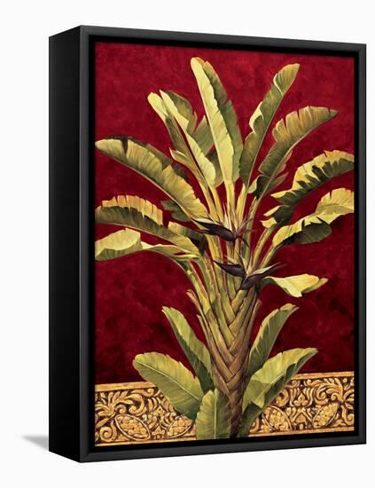 Traveler^s Palm-Rodolfo Jimenez-Framed Stretched Canvas