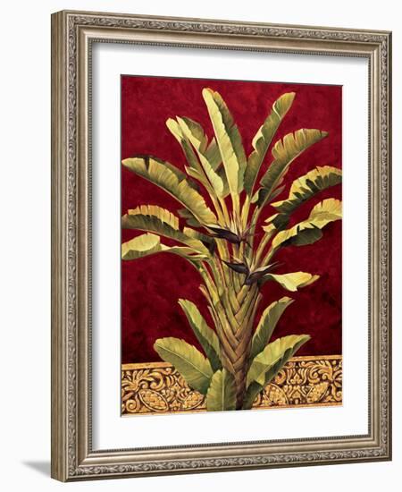 Traveler^s Palm-Rodolfo Jimenez-Framed Art Print