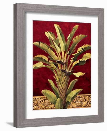 Traveler^s Palm-Rodolfo Jimenez-Framed Art Print