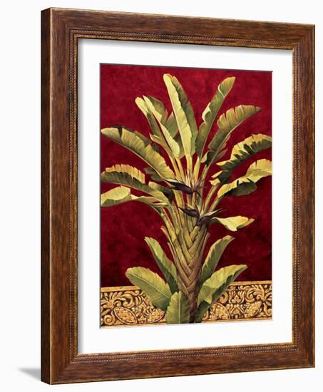 Traveler^s Palm-Rodolfo Jimenez-Framed Art Print